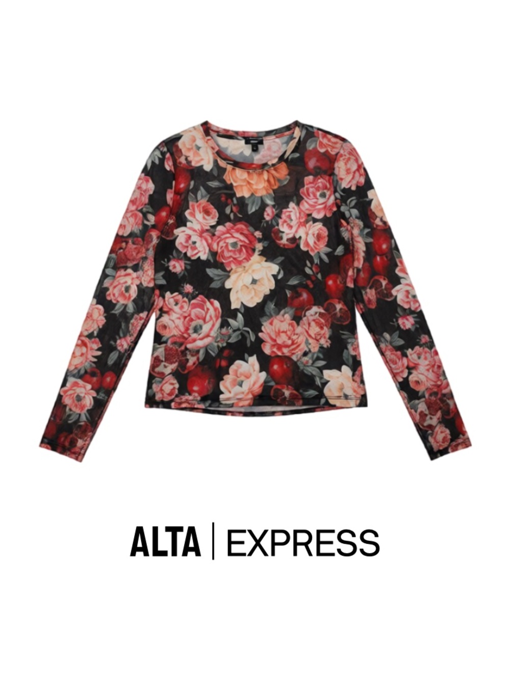Express Black Mesh Floral Long Sleeve Top with Pink and Cream Roses